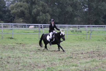 Bild 1420 - WBO-Turnier am 18.9.11